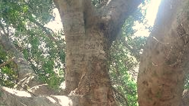 19 Etapa -III Domingo de Cuaresma