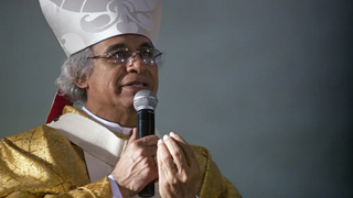 Cardenal Brenes