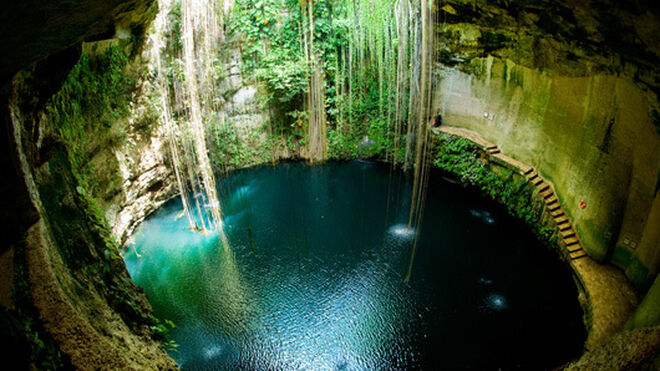 Para vivir no quiero