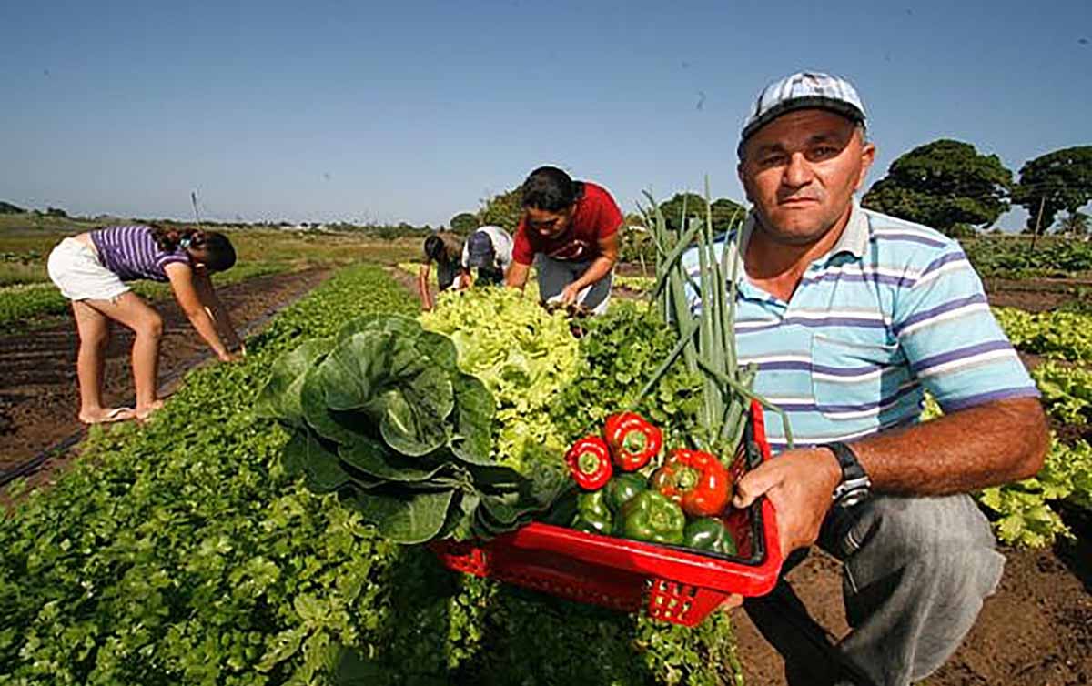 Campesino