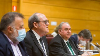 El Defensor del Pueblo, en el Senado