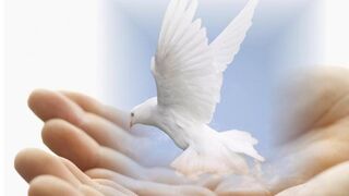 Paz