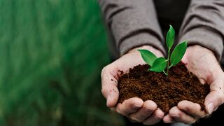 ¿Está enferma la tierra?