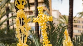 Palmas blancas para el Papa y los obispos de Orihela y Solsona