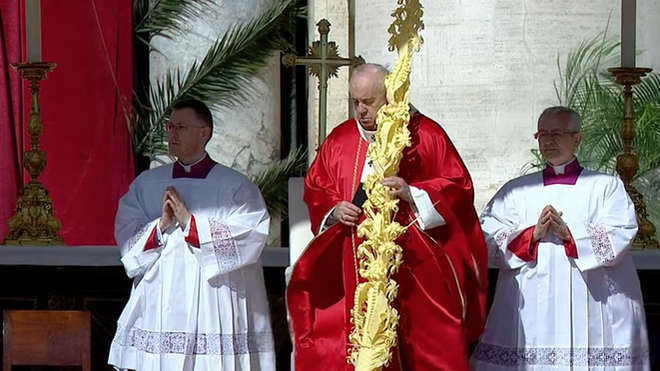 La palma del Papa