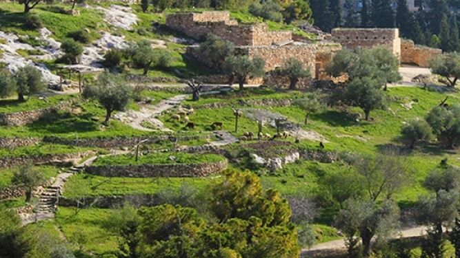 Nazareth Village