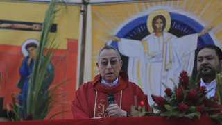 Cardenal Maradiga