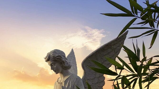 Ángel de luz
