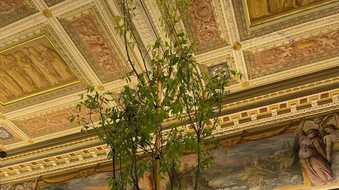 Un árbol de 4 metros de altura: el llamativo regalo del presidente de Gabón al Papa