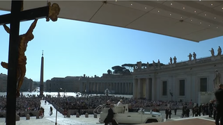 El Papa, en la audiencia