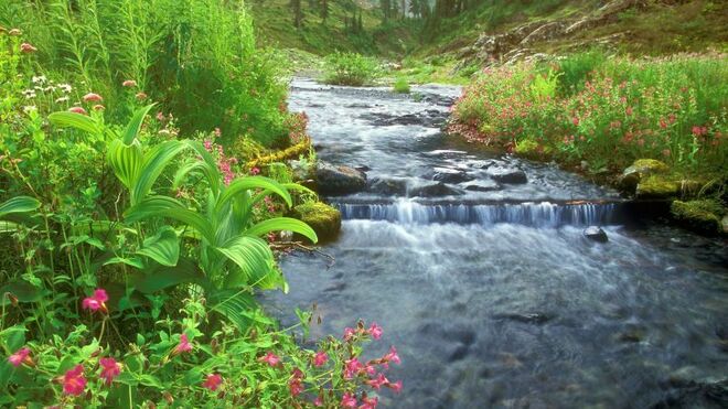 El cauce de nuestra vida