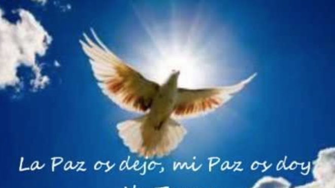El Papa y la paz