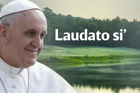 Laudato Si, Papa Francisco