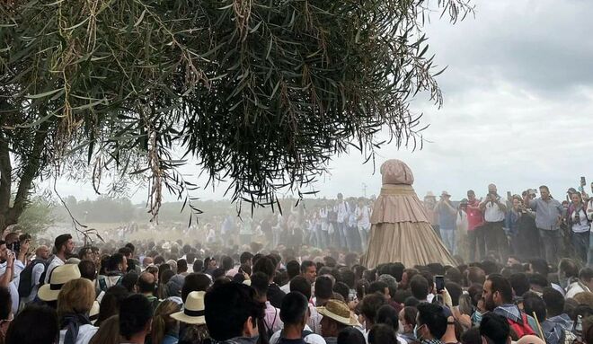 La Blanca Paloma regresa, por fin, a casa
