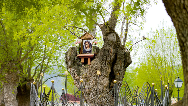 Fresno de Prado Nuevo