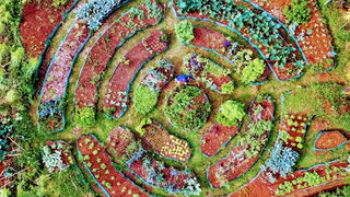 Campaña de Enlázate por la Justicia