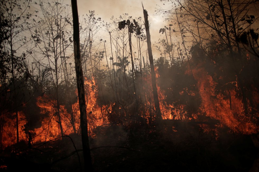 Incendio en la Amazonía