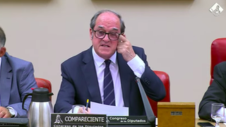Comparecencia del Defensor del Pueblo, Ángel Gabilondo