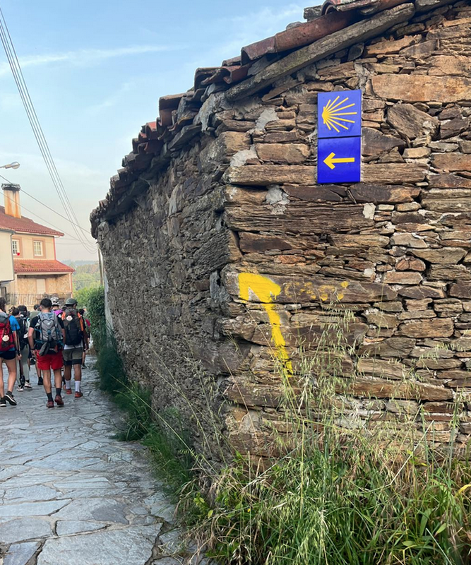 Camino