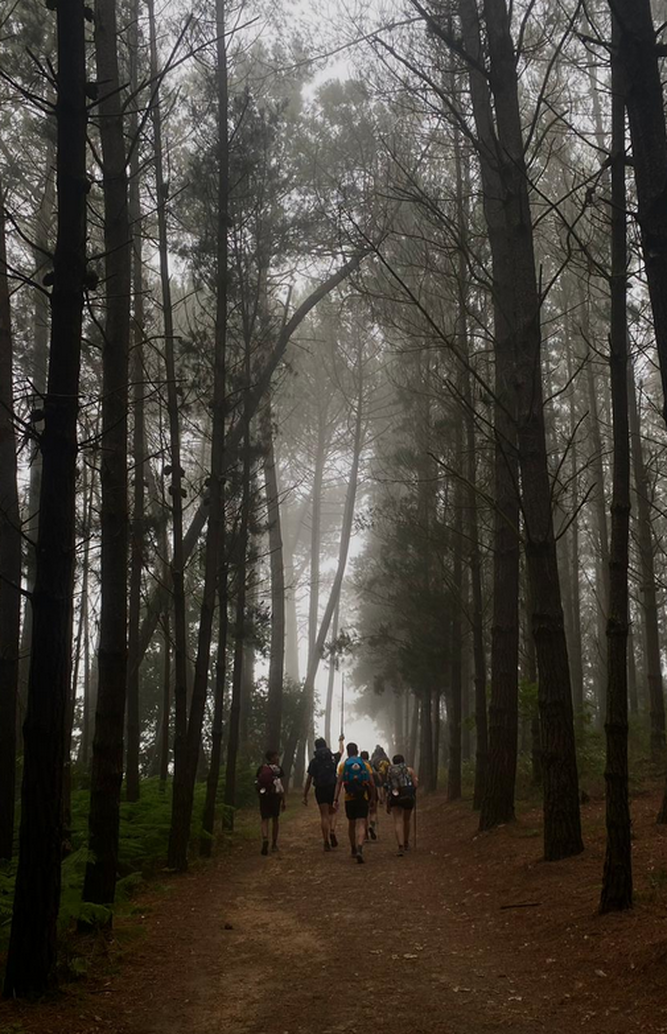 Camino