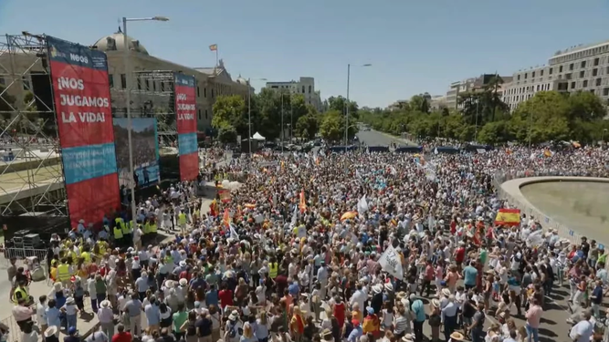 Manifestación contra el aborto. Madrid