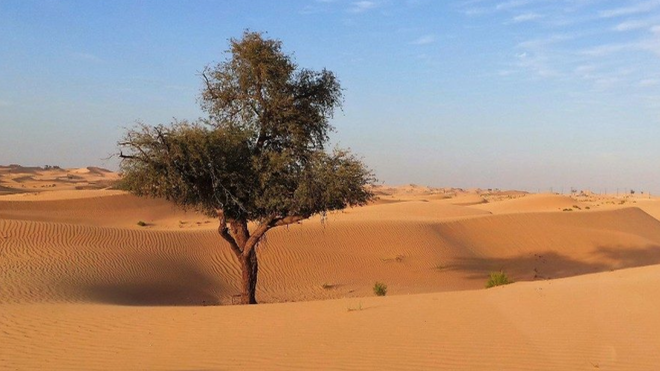 Cambio climático