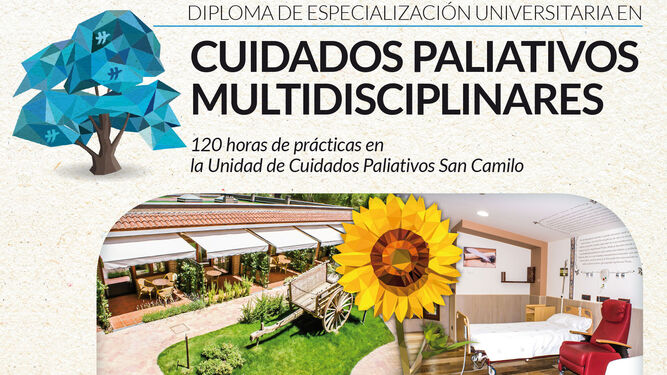 diploma cuidados paliativos CEHS