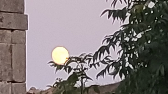 Montesclaros