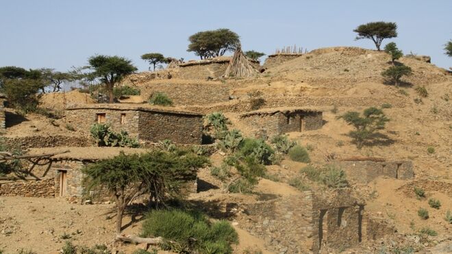 Guerra en el Tigray (Etiopía): 7,4 millones de personas en grave situación humanitaria