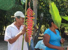 Foro Social