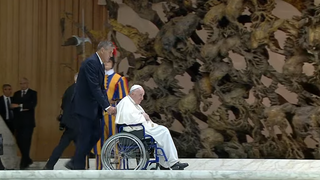 El Papa entra en la audiencia