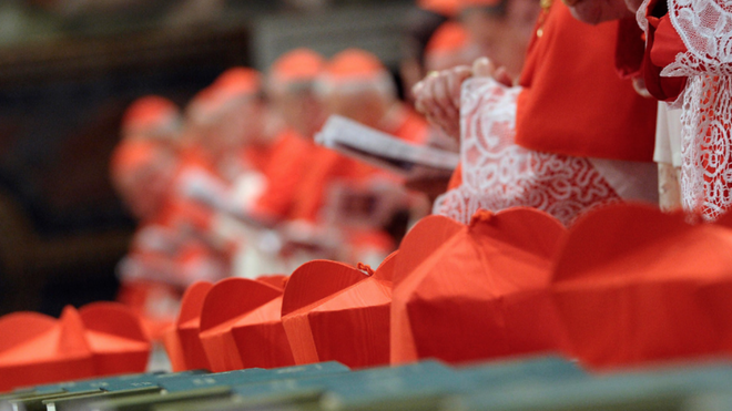Nuevos cardenales