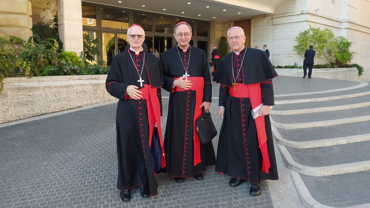 Cardenales-brasileños