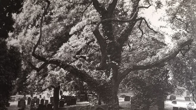 Cementerio