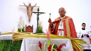 El cardenal Brenes, durante la misa