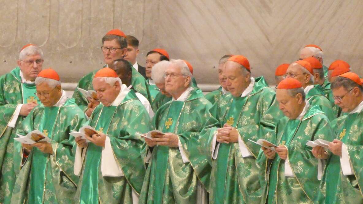 Cardenales en San Pedro