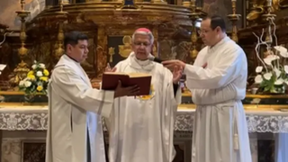 Cardenal Martínez Flores
