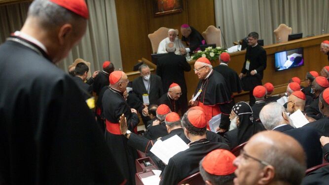 El Papa durante el consistorio extraordinario