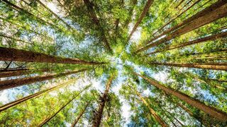 El Tiempo de la Creación