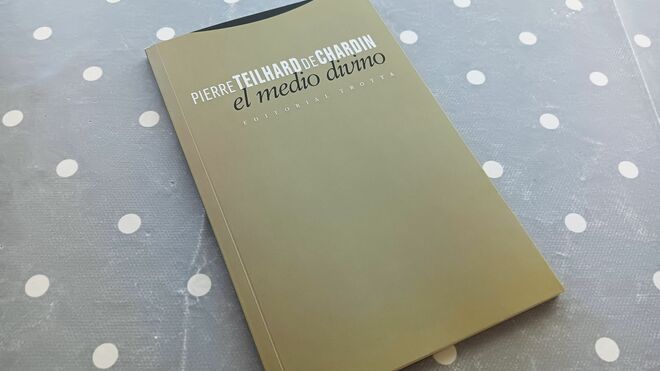 Lectura de verano