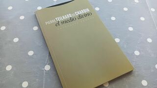 Lectura de verano