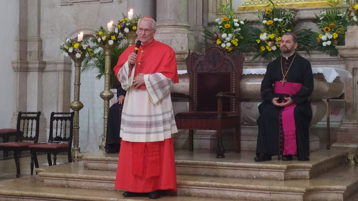 Cardenal Steiner