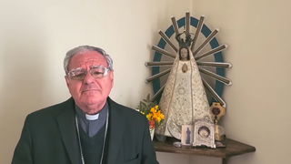 Mons. Ojea