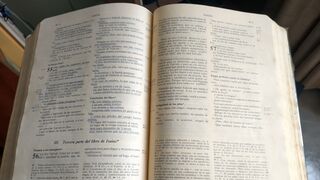 La Sagrada Escritura como fuente de vida y fecundidad cristiana