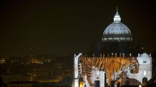 Imágenes de la fauna salvaje en el Vaticano