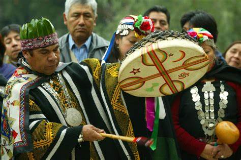 Mapuches