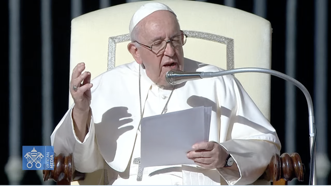 El Papa durante la catequesis
