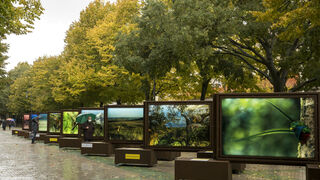 De Polo a Polo, un viaje fotográfico por los últimos paraísos naturales del planeta