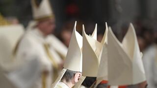 Francisco invitó a no perder el foco del Concilio Vaticano II