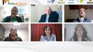 3 años del Sínodo Amazonía